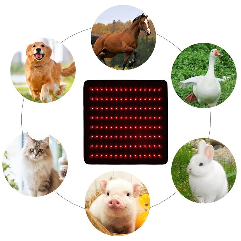 30df0e270b3f2b97ecf3a08c6973d493